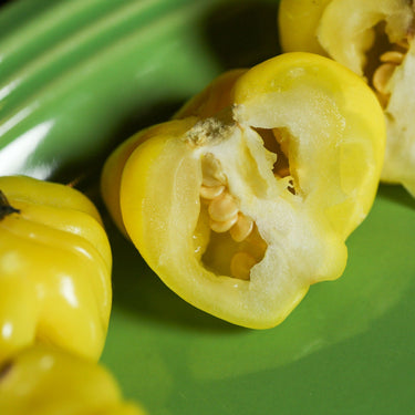 Yellow Brazilian Starfish Pepper Seeds - The Pepper Pantry (Formerly Marie Sharp's)